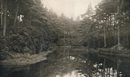 Branksome Chine and Lake