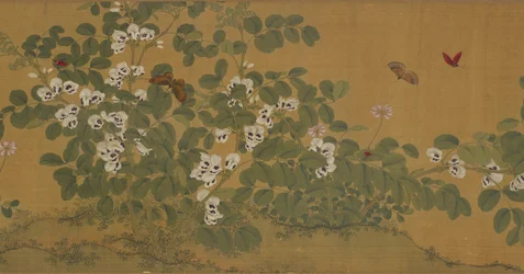 Broad Bean Flowers and Butterflies