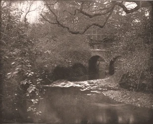 Brook and Bridge in the New Forest, Hampshire