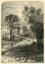 Camberwell Grove