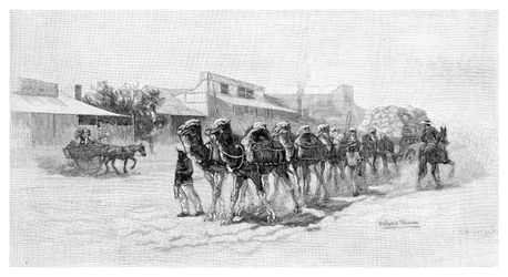 Camel Team, Wilcannia, New South Wales, Australia, 1886