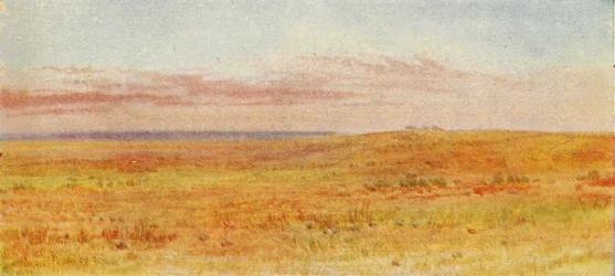 Canadian Prairie