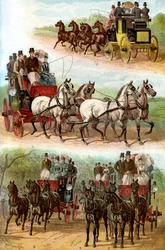 Celebrated Teams in the Park