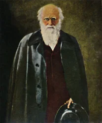 Charles Darwin 1809-1882 - Painting by Collier