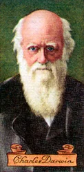 Charles Darwin, taken from a series of cigarette cards