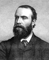 Charles Stuart Parnell, 19th Century Irish Politician