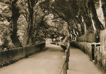 Chine Avenue, Shanklin, I.W.