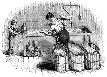 Cotton Manufacture