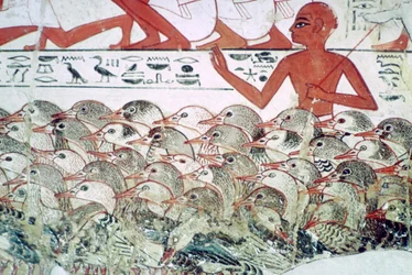 Counting the Geese: Fragment of Wall Painting from the Tomb of Nebamun, Thebes, Egypt, c. 1350 BC
