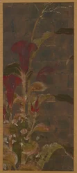 Coxcombs, Maize and Morning-Glories