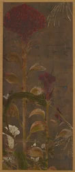 Coxcombs, Maize and Morning-Glories