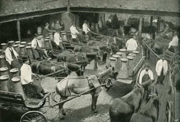 Delivery Vans Starting from Messrs Freeth and Pocock