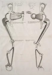 Diagram for Horses Bit