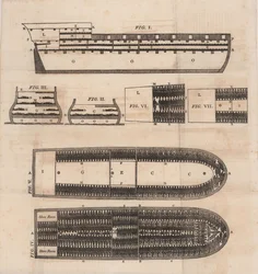 Diagram of a slave ship