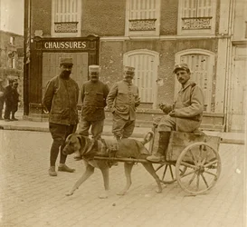 Dog-cart, France