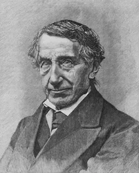 Dr. Dollinger