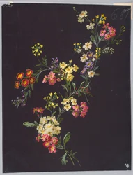 Drawing, from Saint Germain - Volumes 1 and 2