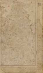 Drawing of Animals and Plants