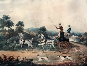 Driving Tandem