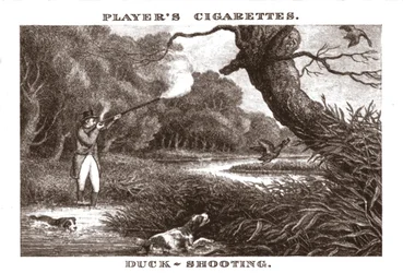 Duck-Shooting