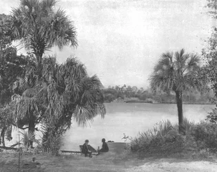 Eau Gallie, Indian River, Florida, USA
