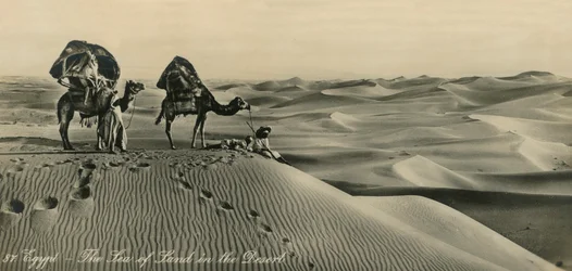 Egypt - The Sea of Land in the Desert