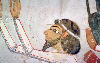 Egyptian Wall-Painting of a Semitic Envoy