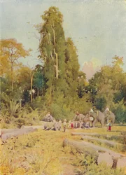 Elephants Piling Teak