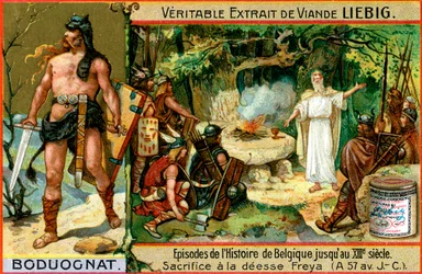 Episodes in the history of Belgium up until the 13th century: Boduognatus