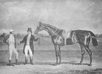 Euclid, second in the St. Leger, 1839, after a dead-heat with Charles XII, c1839