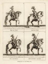 Exercise of the Horse