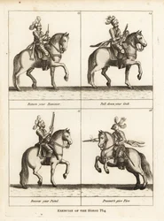 Exercise of the Horse