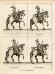 Exercise of the Horse