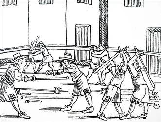 Fencing Practice