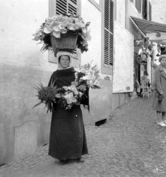 Flower Seller, Funchal, Madeira