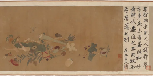 Flowers, fruit, shells, and insects