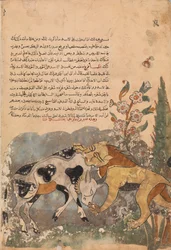 Folio from a Kalila wa Dimna, 18th Century