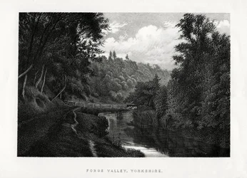 Forge Valley, Yorkshire
