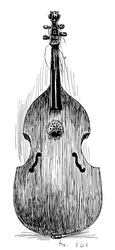 French Viola da Gamba