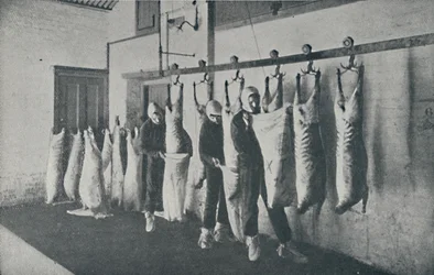 Frozen Meat