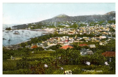 Funchal, Madeira, early 20th century