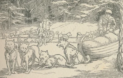 Fur-Trappers