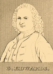 G. Edwards