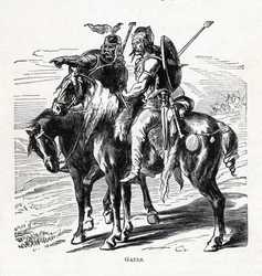 Gauls