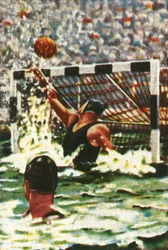 Germany win the water polo
