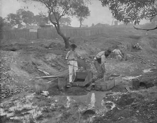 Gold-Digging in Australia