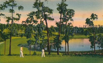 Golfing, a Year Round Sport in Florida