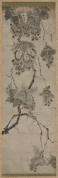 Grapes, 1700s