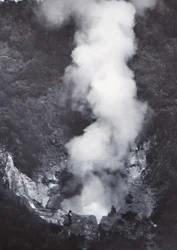 Great Wairakei Geyser