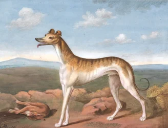 Greyhound: Facing Left, with a Dead Hare at His Feet, ca. 1805